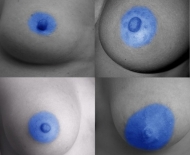 detailblauwhelmen