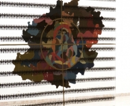 z_camouflage4