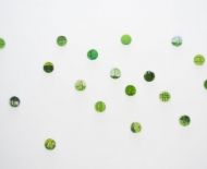 groene-stroom_mijlpaal_mor_7206