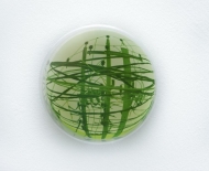 groene-stroom_mijlpaal_mor_7215