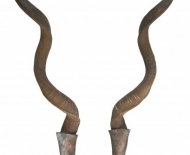 hoornloper