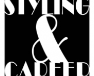 stylingcareer