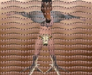 collage-montage-1
