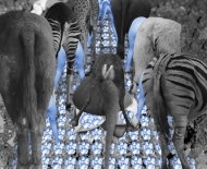 collage-montage-6