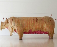 pig