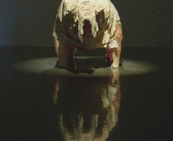 varken2