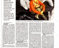destandaard02-05-2013